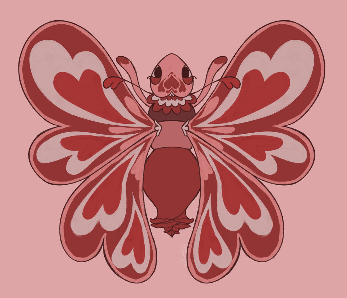 Valentines butterfly concept