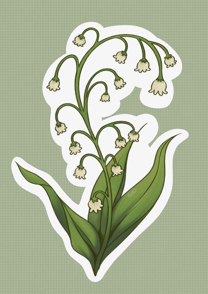 Lily of the valley